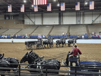 American Royal Complex — photo 2 of 4