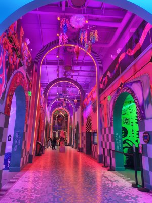 Meow Wolf — photo 3 of 4