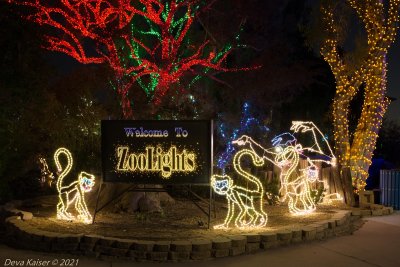 Phoenix Zoo — photo 3 of 4