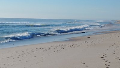 Nauset Beach — photo 3 of 4