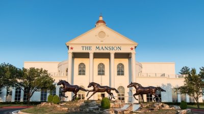 The Mansion — photo 3 of 4