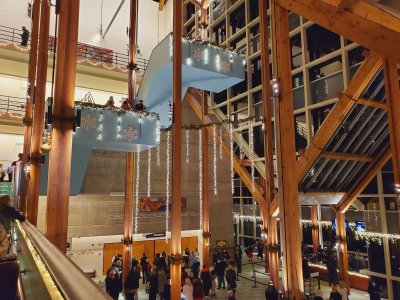 Soreng Theater at Hult Center For The Performing Arts — photo 4 of 4