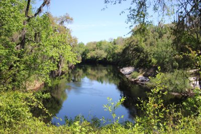 Spirit Of The Suwannee Music Park — photo 4 of 4