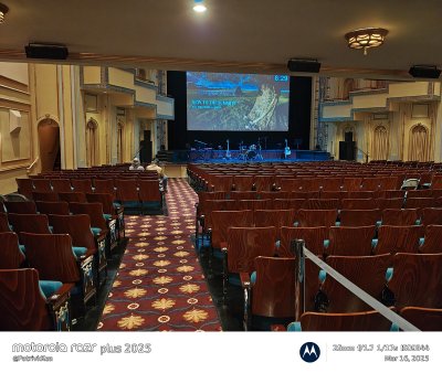 Carolina Theatre — photo 3 of 4