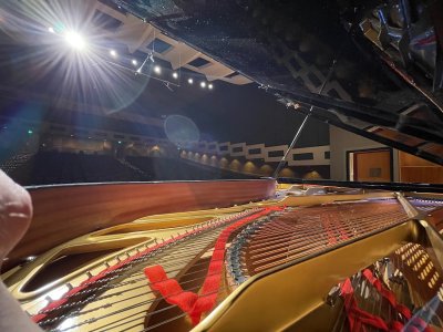 Davis Concert Hall — photo 1 of 4