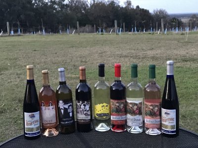 Sparacia Witherell Family Winery & Vineyards — photo 1 of 4