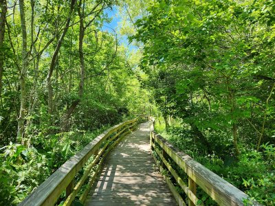 Mead Botanical Garden — photo 4 of 4