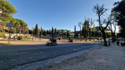 Piazza Di Siena — photo 3 of 4