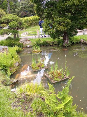 Golden Gate Park