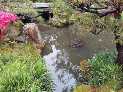 Golden Gate Park — photo 2 of 4