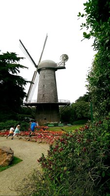 Golden Gate Park — photo 4 of 4