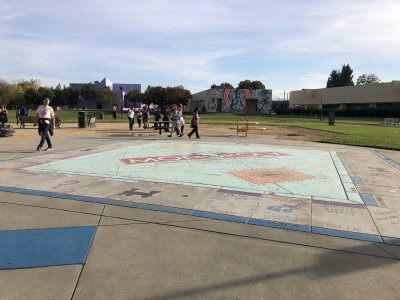 Discovery Meadow — photo 3 of 4