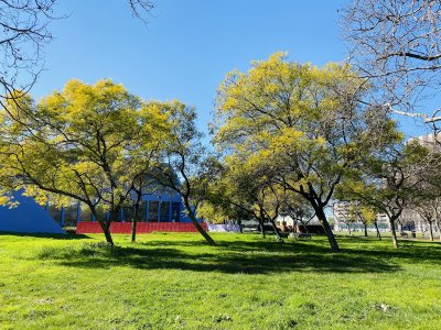 Discovery Meadow — photo 4 of 4