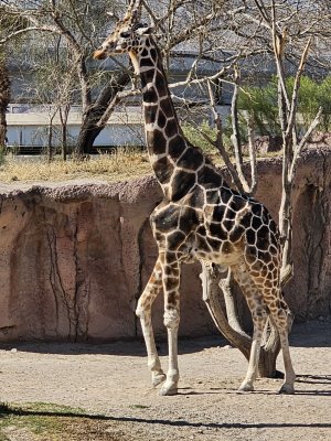 El Paso Zoo — photo 2 of 4