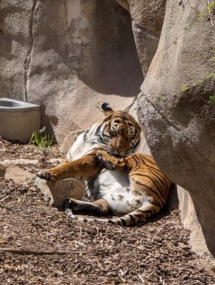 El Paso Zoo — photo 4 of 4