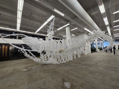 Level 1 at Cannonball Arts Center — photo 4 of 4