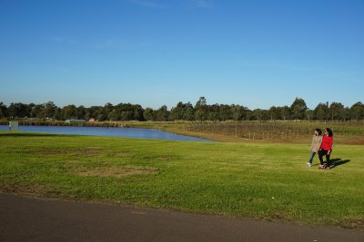 Roche Estate — photo 2 of 4