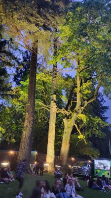 Malkin Bowl -  Stanley Park — photo 4 of 4
