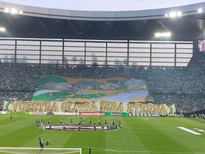 Estadio La Cartuja — photo 3 of 4