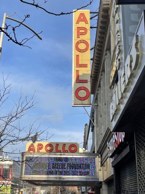 Jonelle Procope Theater at Apollo Theater — photo 3 of 4