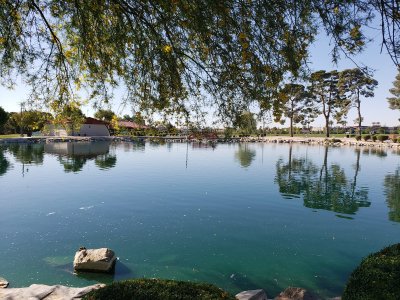 Amphitheater At Craig Ranch Regional Park — photo 4 of 4