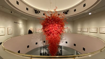 Artis-Naples — photo 4 of 4