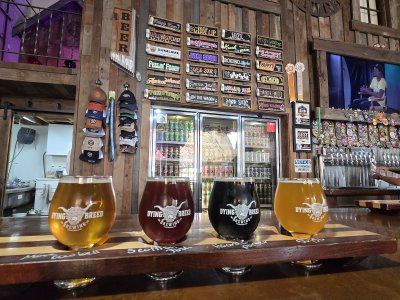 Dying Breed Brewing — photo 2 of 4