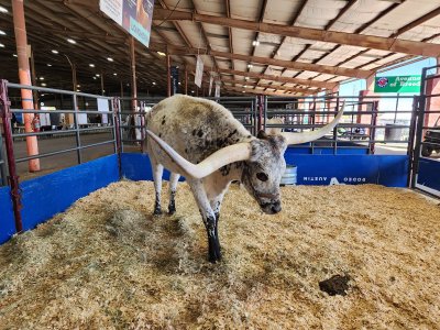 Travis County Expo Center — photo 3 of 4