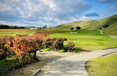 Wente Vineyards — photo 2 of 4