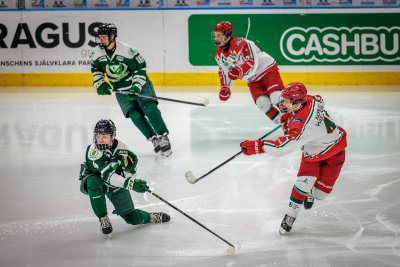 Scandinavium — photo 4 of 4