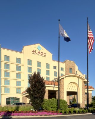 The Vine at Del Lago Resort — photo 4 of 4