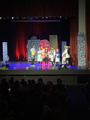 McMinnville Park Theater — photo 4 of 4
