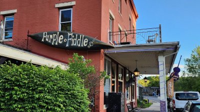 Purple Fiddle — photo 2 of 4