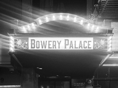 Bowery Palace — photo 3 of 4