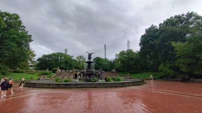 SummerStage in Central Park — photo 3 of 4