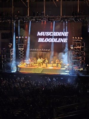 Credit One Stadium — photo 3 of 4