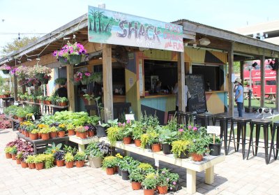 The Shack — photo 1 of 4