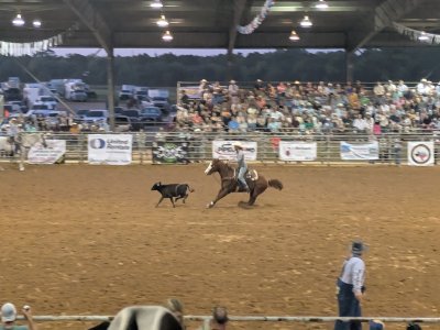 Galveston County Fairgrounds