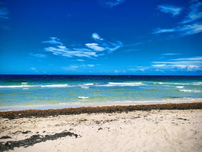 Fort Lauderdale Beach Park — photo 4 of 4