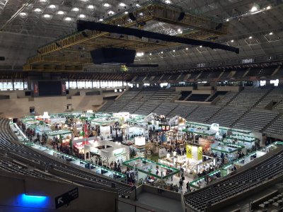 Palau Sant Jordi — photo 2 of 4
