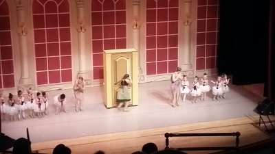Belle Mehus Auditorium — photo 4 of 4