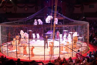 Circus Krone Munich — photo 4 of 4