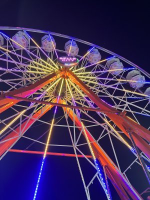 Charlotte County Fairgrounds — photo 3 of 4
