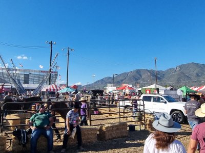 San Bernardino Sheriff's Rodeo Grounds — photo 3 of 4