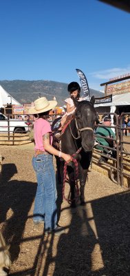 San Bernardino Sheriff's Rodeo Grounds — photo 4 of 4